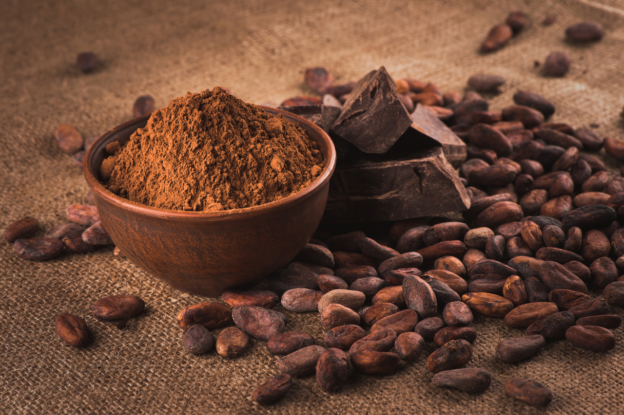 Raw cocoa beans, clay bowl with cocoa powder, chocolate on sacking source of cocoavia flavanol capsules.